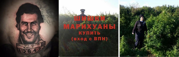прущие грибы Остров