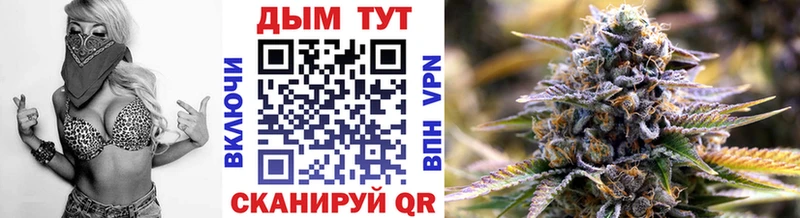 Каннабис ГИДРОПОН  закладки  Разумное 